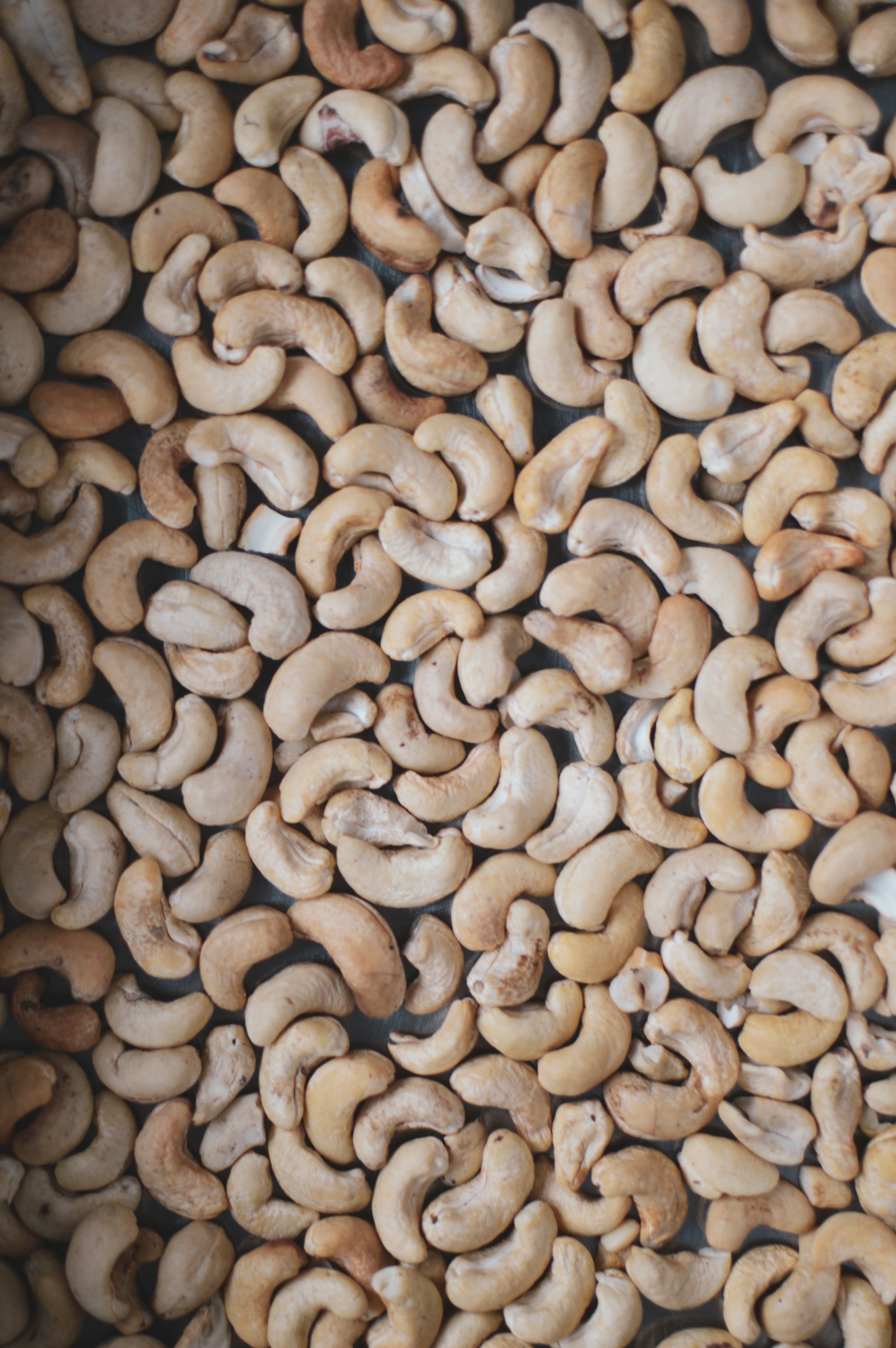 Light-brown roasted cashews arranged across a baking sheet.